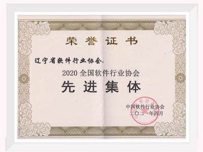 2020年全国软件行业协会先进集体