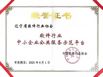 软件行业中小企业公共服务示范平台