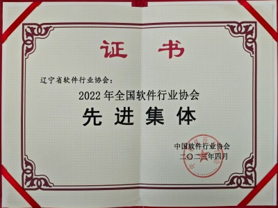 2022年全国软件行业协会先进集体