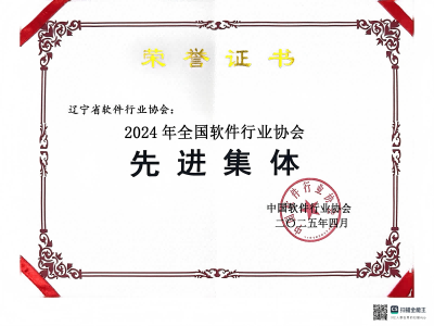 2024年全国软件行业协会先进集体